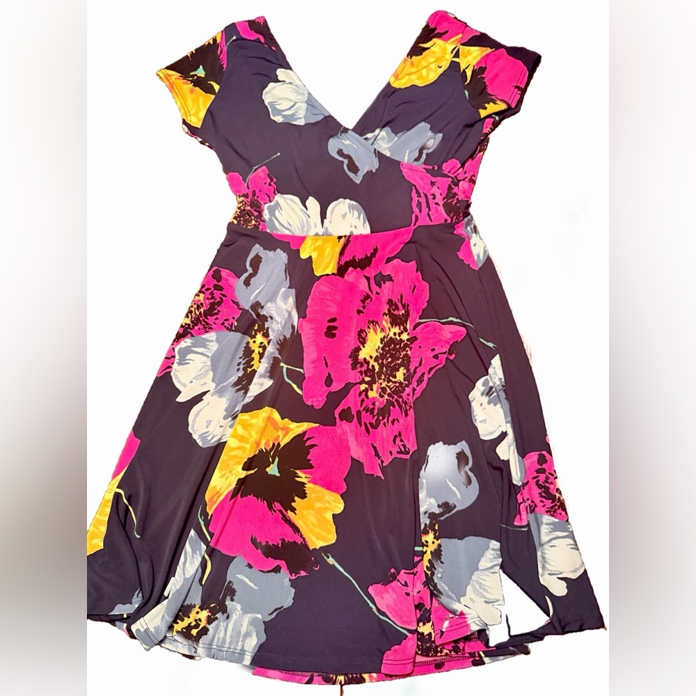 Gilli Fit and Flare Floral V-Neck Dress Size Small